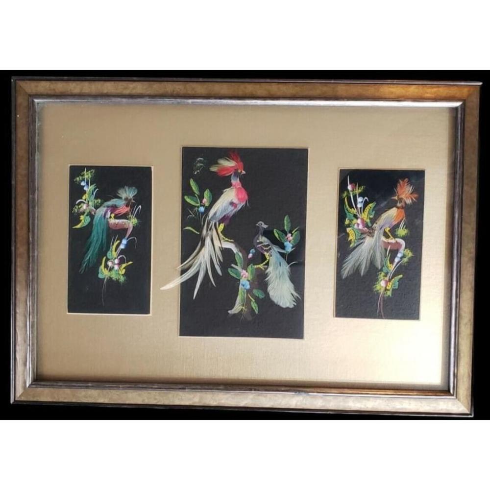 Vintage 1960s Exotic Bird Pictures, Real Feathers Framed Under Glass
